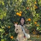 인플루언서 프로필