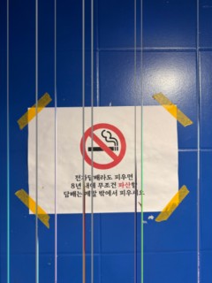 려오어어어어어엉ㅇ 썸네일 이미지