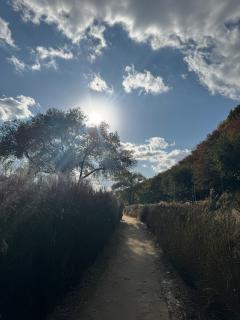 didjxjjsjsjscjxjxjx 썸네일 이미지