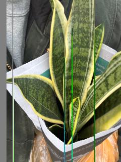 hjhhjjjjjjjjhjhhjjjhhjj 썸네일 이미지