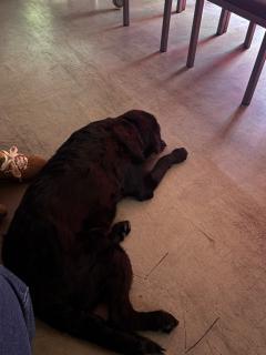 xjxjxjxj jcixjxixixx 썸네일 이미지